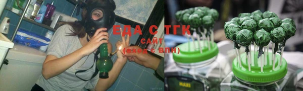индика Володарск