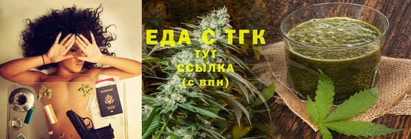 индика Володарск