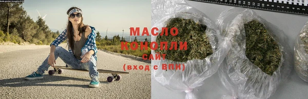 индика Володарск